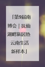 第9届南博会｜抚仙湖畔旅居热 云南生活新样本