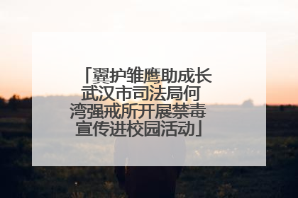 翼护雏鹰助成长 武汉市司法局何湾强戒所开展禁毒宣传进校园活动