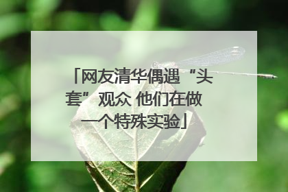 网友清华偶遇“头套”观众 他们在做一个特殊实验