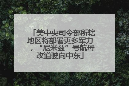 美中央司令部所辖地区将部署更多军力，“尼米兹”号航母改道驶向中东