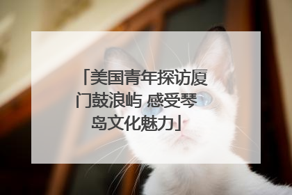 美国青年探访厦门鼓浪屿 感受琴岛文化魅力