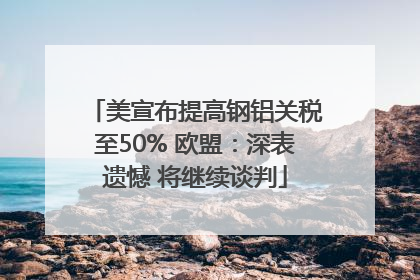 美宣布提高钢铝关税至50% 欧盟：深表遗憾 将继续谈判