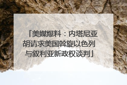 美媒爆料：内塔尼亚胡请求美国斡旋以色列与叙利亚新政权谈判