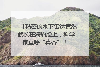 精密的水下雷达竟然就长在海豹脸上，科学家直呼“真香”！