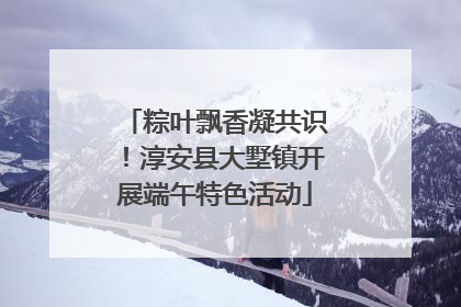 粽叶飘香凝共识！淳安县大墅镇开展端午特色活动