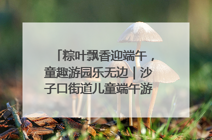 粽叶飘香迎端午，童趣游园乐无边｜沙子口街道儿童端午游园活动圆满落幕