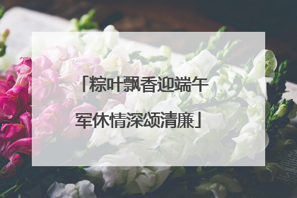 粽叶飘香迎端午 军休情深颂清廉
