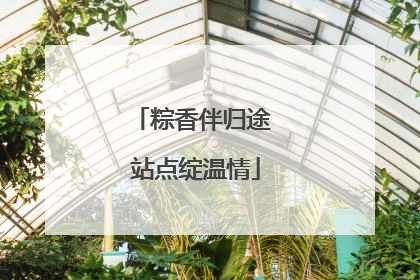 粽香伴归途 站点绽温情
