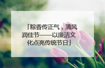 粽香传正气，清风润佳节——以廉洁文化点亮传统节日