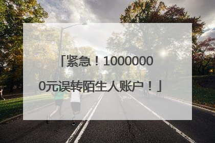 紧急！10000000元误转陌生人账户！
