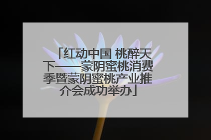 红动中国 桃醉天下——蒙阴蜜桃消费季暨蒙阴蜜桃产业推介会成功举办