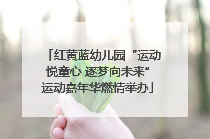 红黄蓝幼儿园“运动悦童心 逐梦向未来”运动嘉年华燃情举办