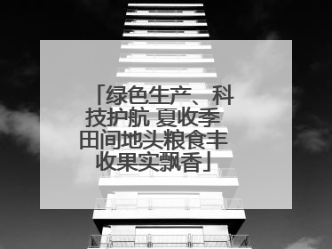 绿色生产、科技护航 夏收季田间地头粮食丰收果实飘香