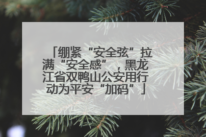 绷紧“安全弦”拉满“安全感”，黑龙江省双鸭山公安用行动为平安“加码”