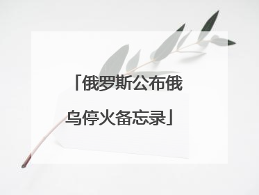俄罗斯公布俄乌停火备忘录