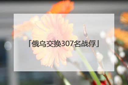 俄乌交换307名战俘