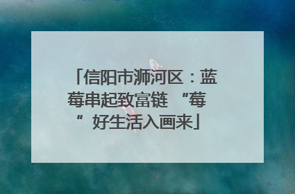 信阳市浉河区：蓝莓串起致富链 “莓”好生活入画来