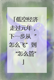 低空经济走过元年，下一步从“怎么飞”到“怎么管”
