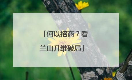 何以招商？看兰山升维破局