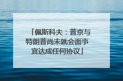 佩斯科夫：普京与特朗普尚未就会面事宜达成任何协议