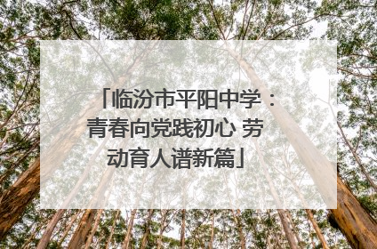 临汾市平阳中学：青春向党践初心 劳动育人谱新篇