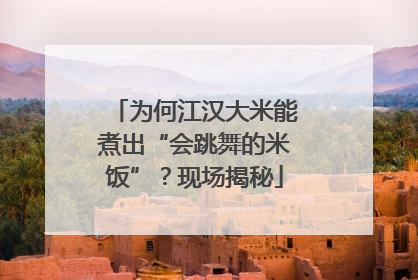 为何江汉大米能煮出“会跳舞的米饭”？现场揭秘