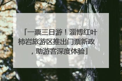 一票三日游！淄博红叶柿岩旅游区推出门票新政，助游客深度体验