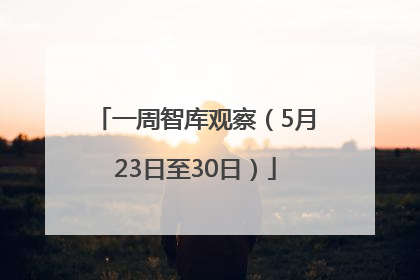 一周智库观察（5月23日至30日）