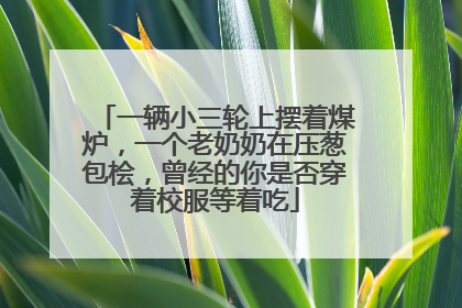 一辆小三轮上摆着煤炉，一个老奶奶在压葱包桧，曾经的你是否穿着校服等着吃