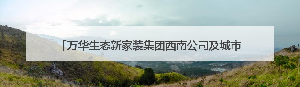 万华生态新家装集团西南公司及城市展厅盛大开业 领航西南焕新时代