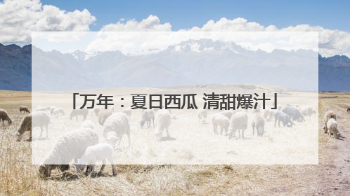 万年：夏日西瓜 清甜爆汁