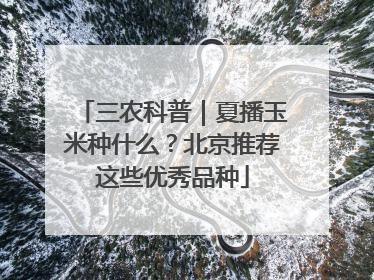 三农科普｜夏播玉米种什么？北京推荐这些优秀品种