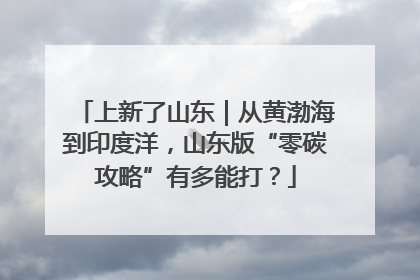 上新了山东｜从黄渤海到印度洋，山东版“零碳攻略”有多能打？