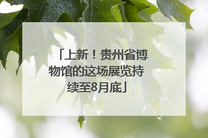 上新！贵州省博物馆的这场展览持续至8月底