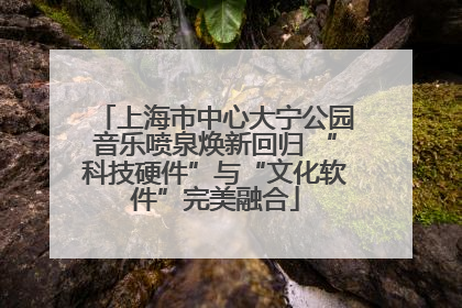 上海市中心大宁公园音乐喷泉焕新回归 “科技硬件”与“文化软件”完美融合
