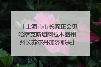 上海市市长龚正会见哈萨克斯坦阿拉木图州州长苏尔丹加济耶夫