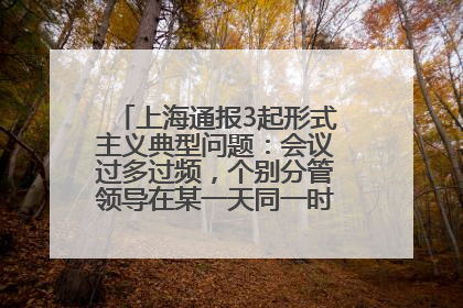 上海通报3起形式主义典型问题：会议过多过频，个别分管领导在某一天同一时段需参加3个会议