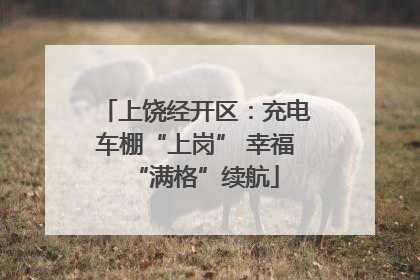 上饶经开区：充电车棚“上岗” 幸福“满格”续航