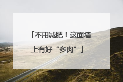 不用减肥！这面墙上有好“多肉”