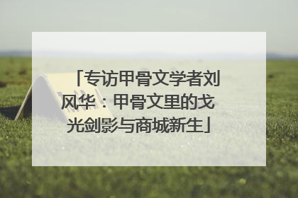 专访甲骨文学者刘风华：甲骨文里的戈光剑影与商城新生