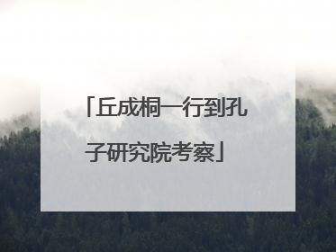 丘成桐一行到孔子研究院考察
