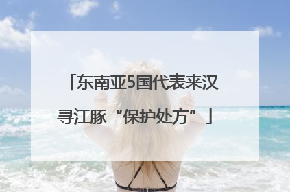 东南亚5国代表来汉寻江豚“保护处方”