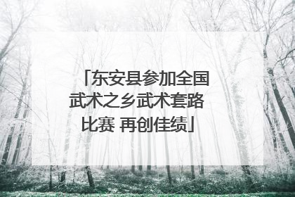 东安县参加全国武术之乡武术套路比赛 再创佳绩