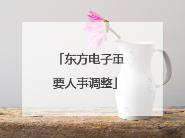东方电子重要人事调整