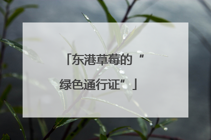 东港草莓的“绿色通行证”