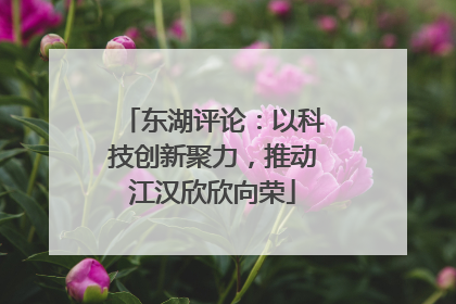 东湖评论：以科技创新聚力，推动江汉欣欣向荣