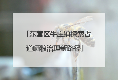 东营区牛庄镇探索占道晒粮治理新路径