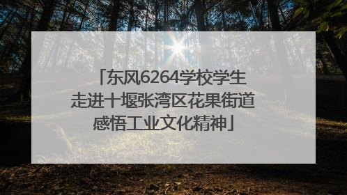 东风6264学校学生走进十堰张湾区花果街道感悟工业文化精神