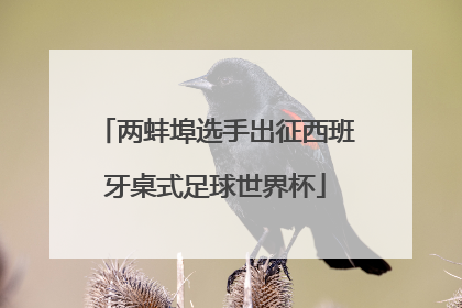 两蚌埠选手出征西班牙桌式足球世界杯
