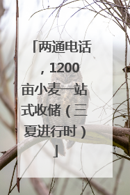 两通电话，1200亩小麦一站式收储（三夏进行时）